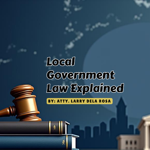 Local Government Law Explained